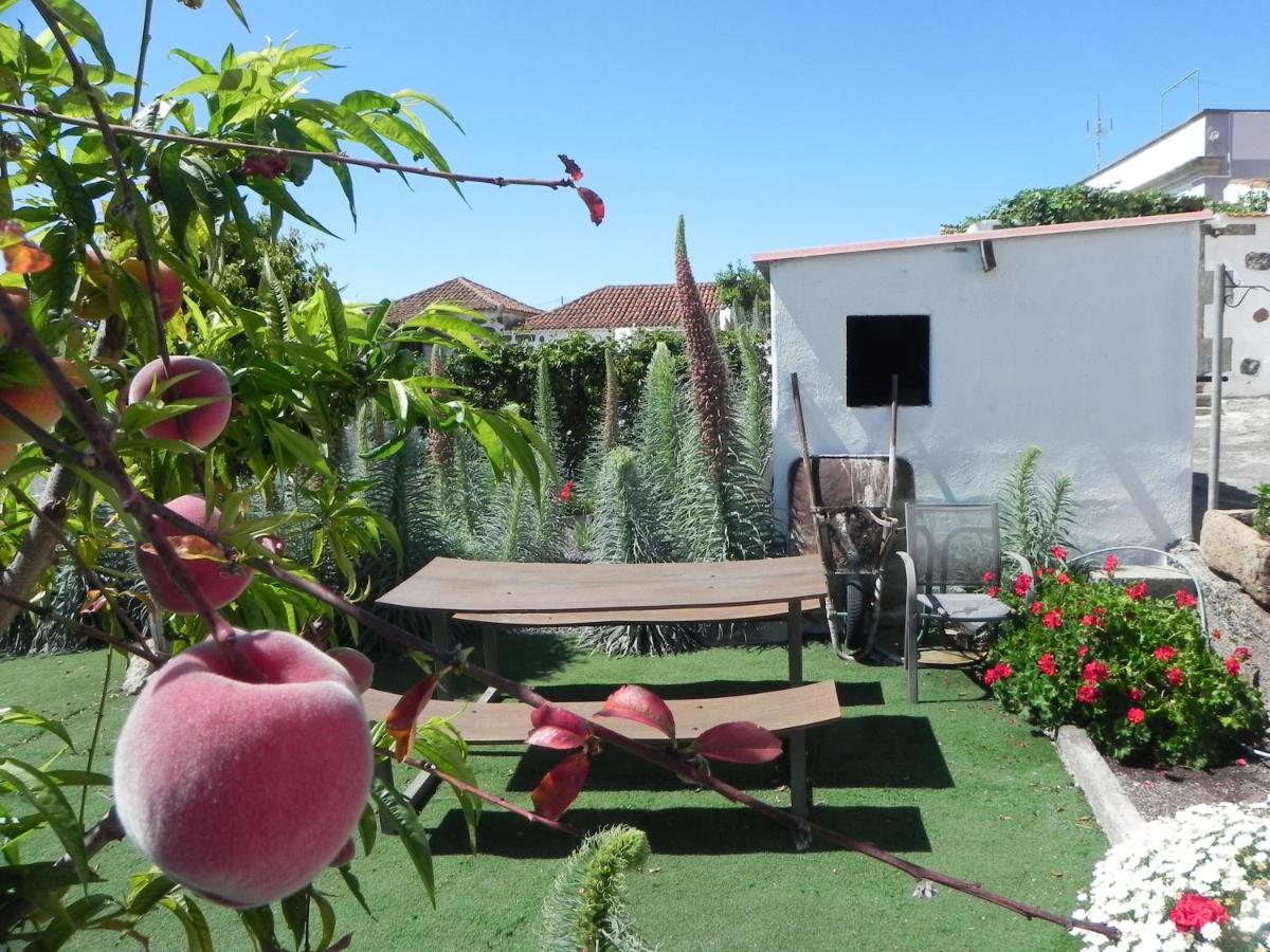 Casa Irma - Rural House - CanaryHousing Costa Adeje  Luaran gambar